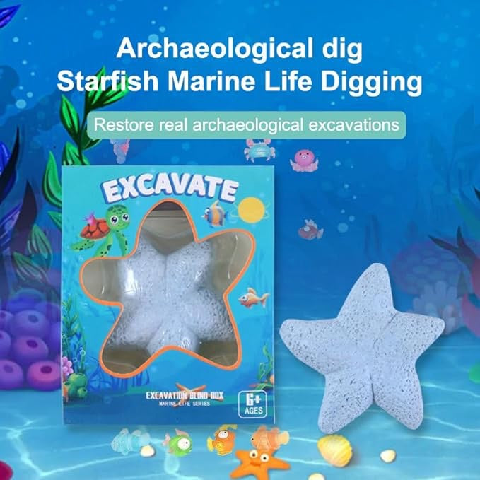 Dig & Find Surprise Starfish
