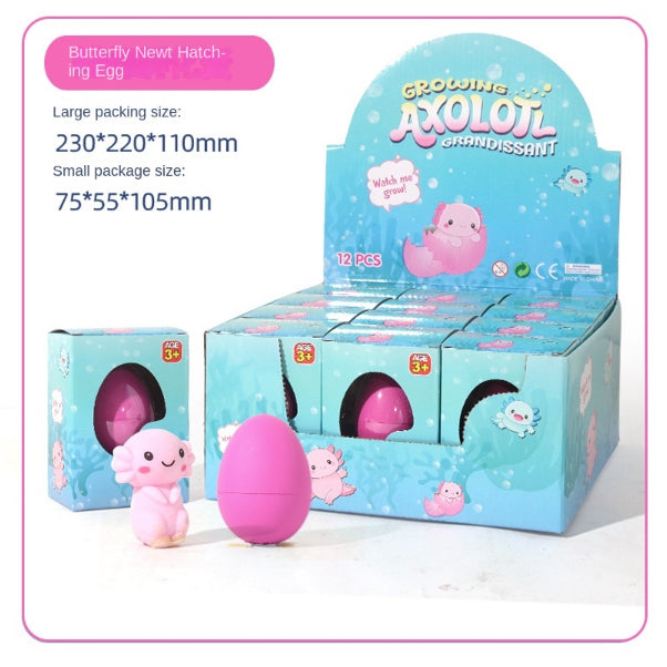 Grow in Water Animals Hatching Egg