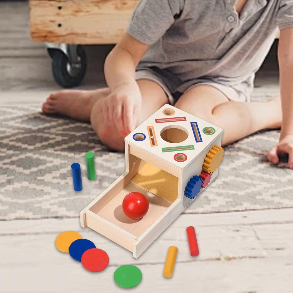 Fun Matching Shape Colour Sorting
