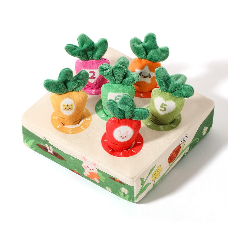 Pluck Carrots Sensory Toys
