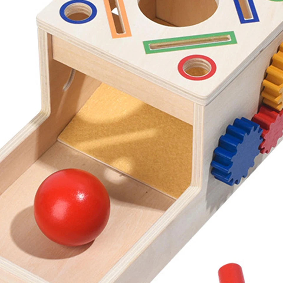 Fun Matching Shape Colour Sorting