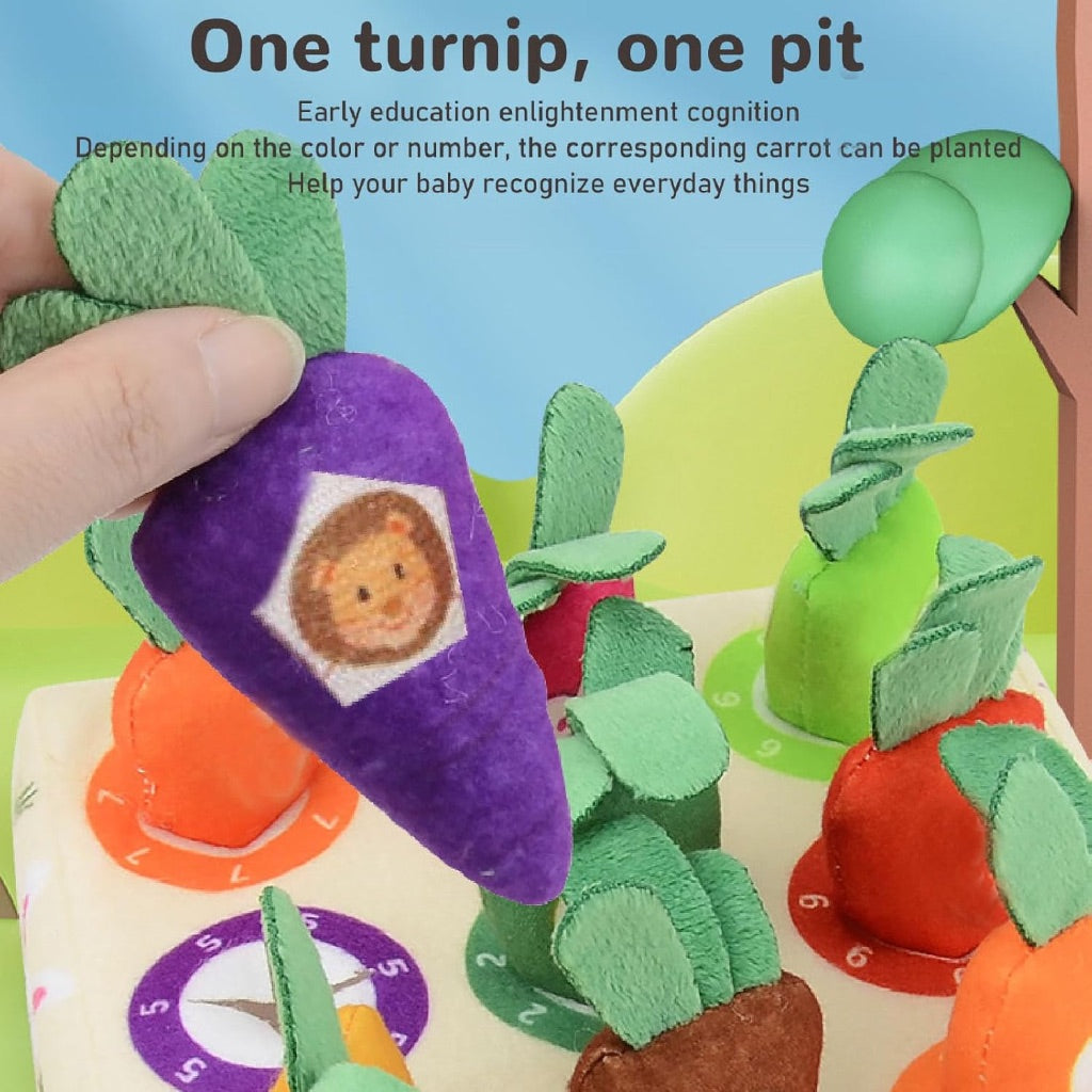 Pluck Carrots Sensory Toys