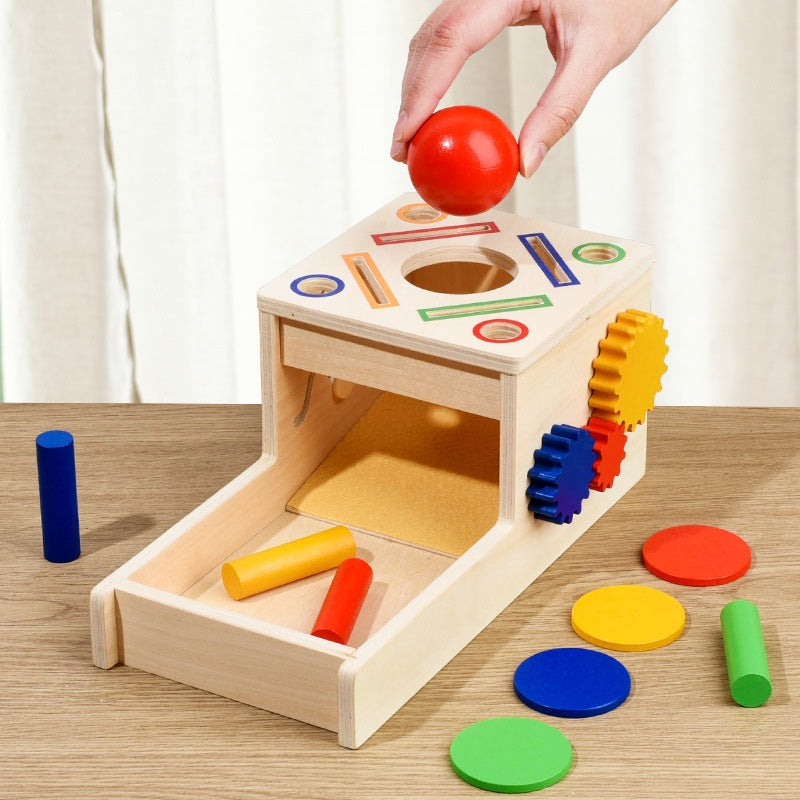 Fun Matching Shape Colour Sorting