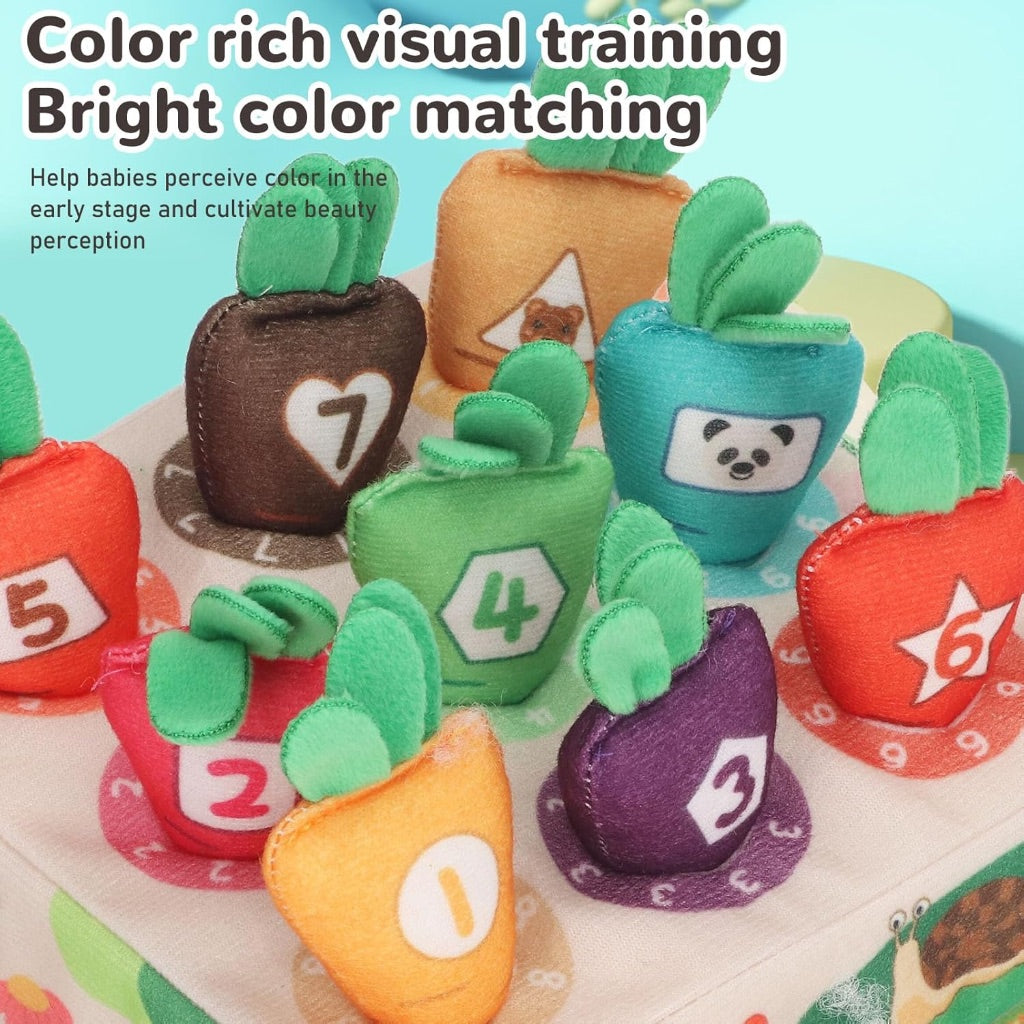 Pluck Carrots Sensory Toys
