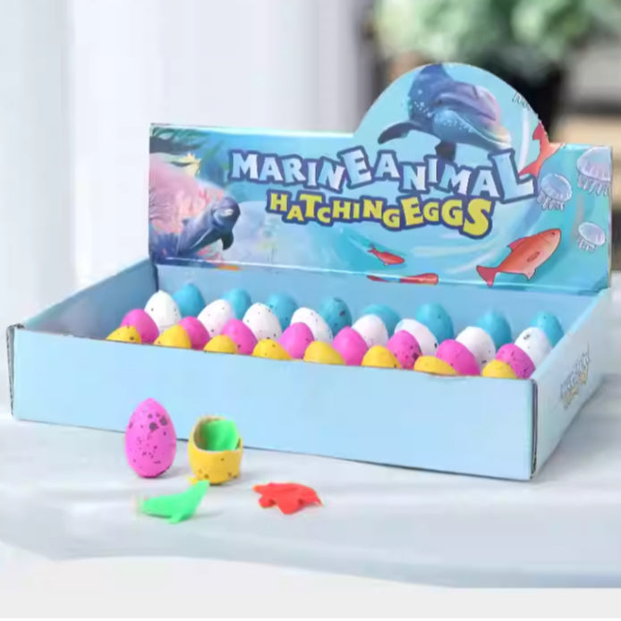 Marine Animal Hatching Eggs