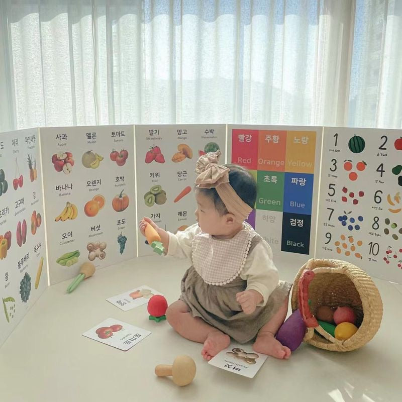 6pc Foldable Baby Posters