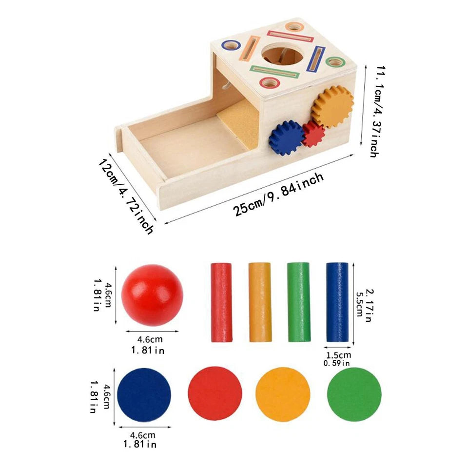 Fun Matching Shape Colour Sorting