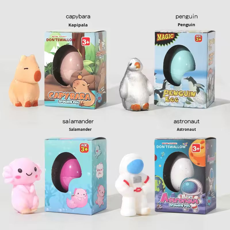 Grow in Water Animals Hatching Egg