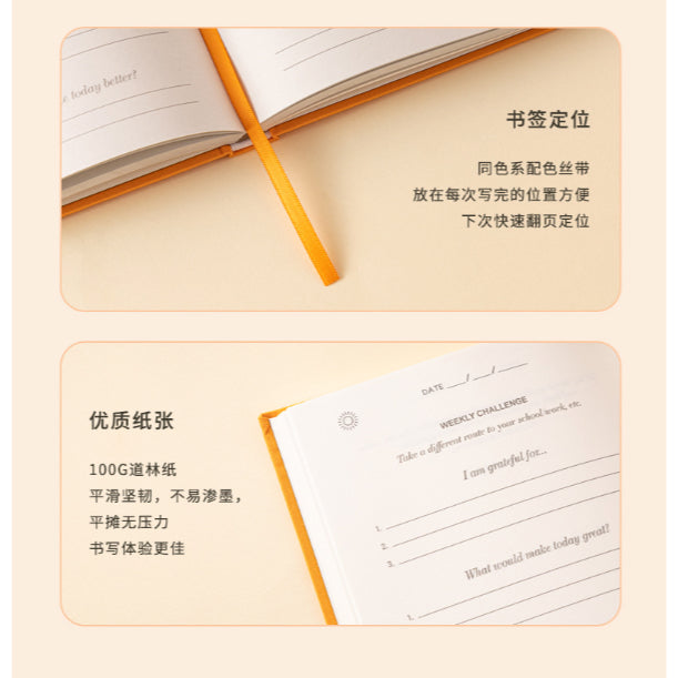 the Gratitude Journal