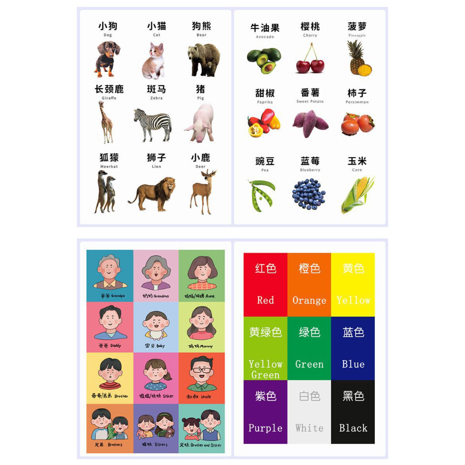 6pc Foldable Baby Posters