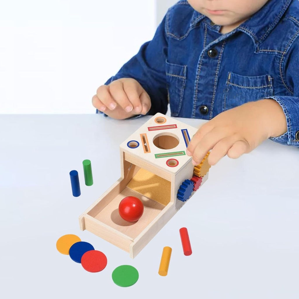 Fun Matching Shape Colour Sorting