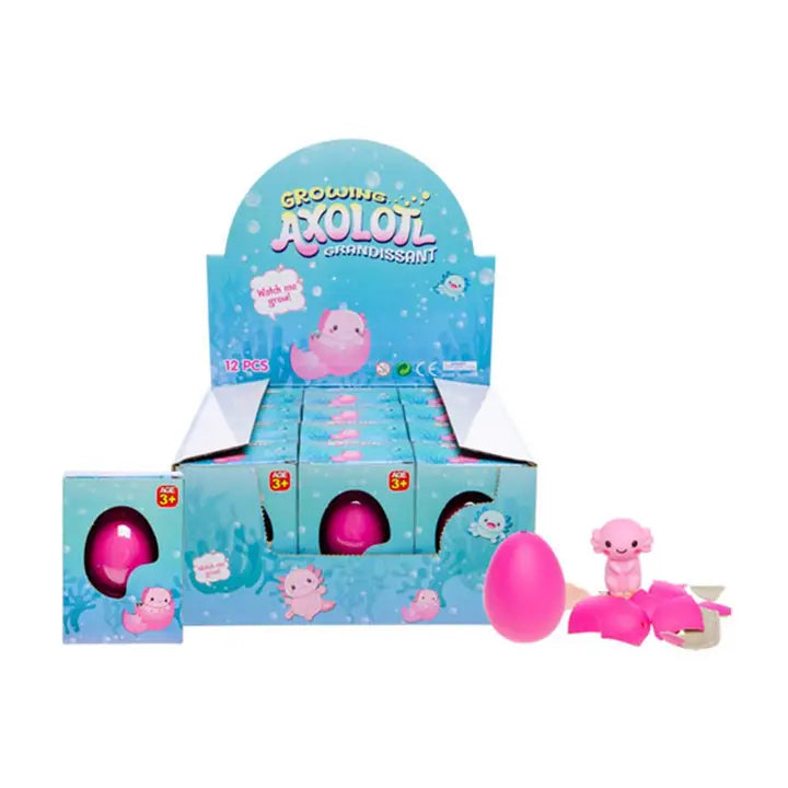 Grow in Water Animals Hatching Egg