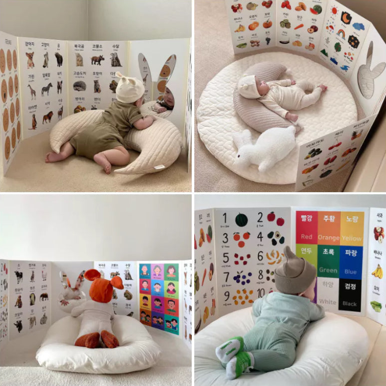 6pc Foldable Baby Posters