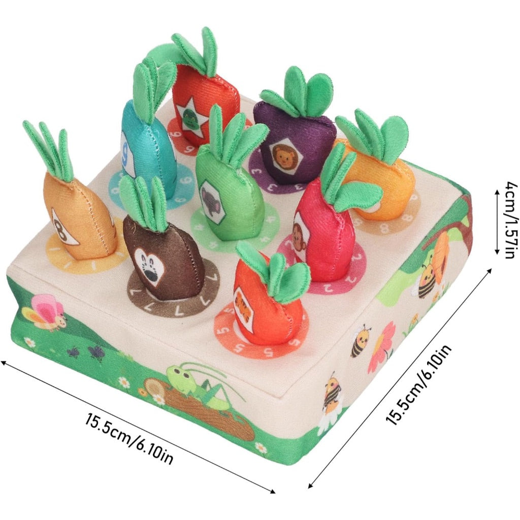 Pluck Carrots Sensory Toys