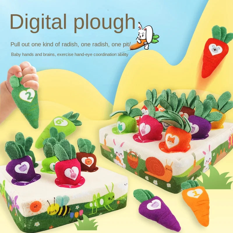 Pluck Carrots Sensory Toys