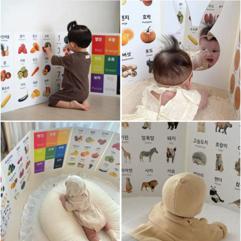 6pc Foldable Baby Posters