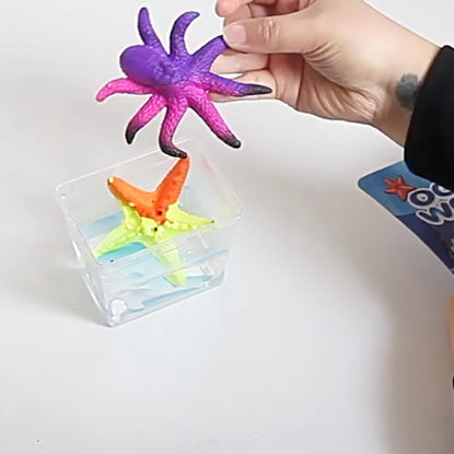 Ocean World Colour Changing Water Toys