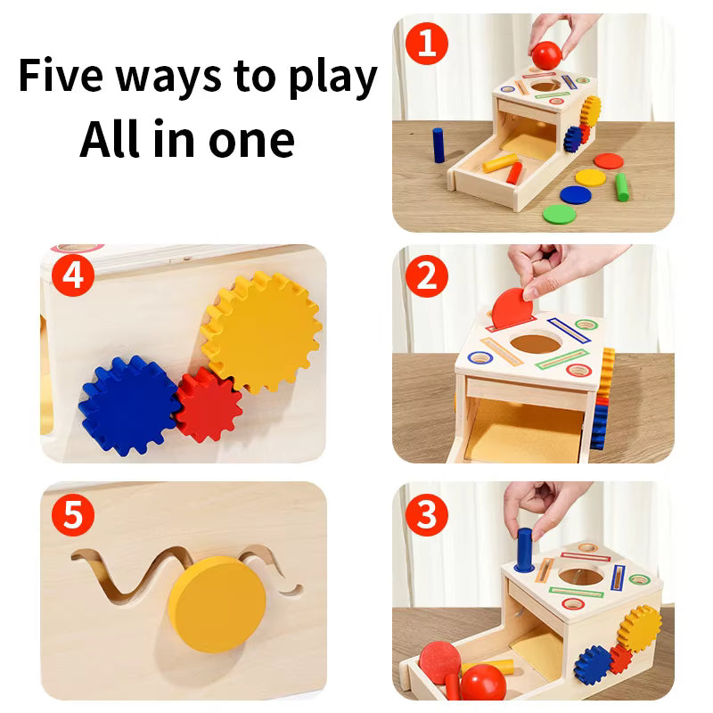 Fun Matching Shape Colour Sorting