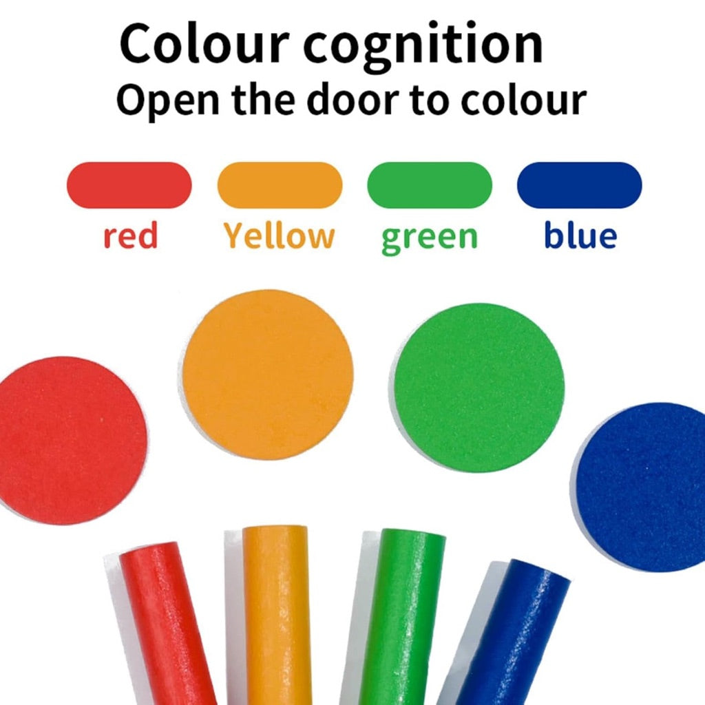 Fun Matching Shape Colour Sorting