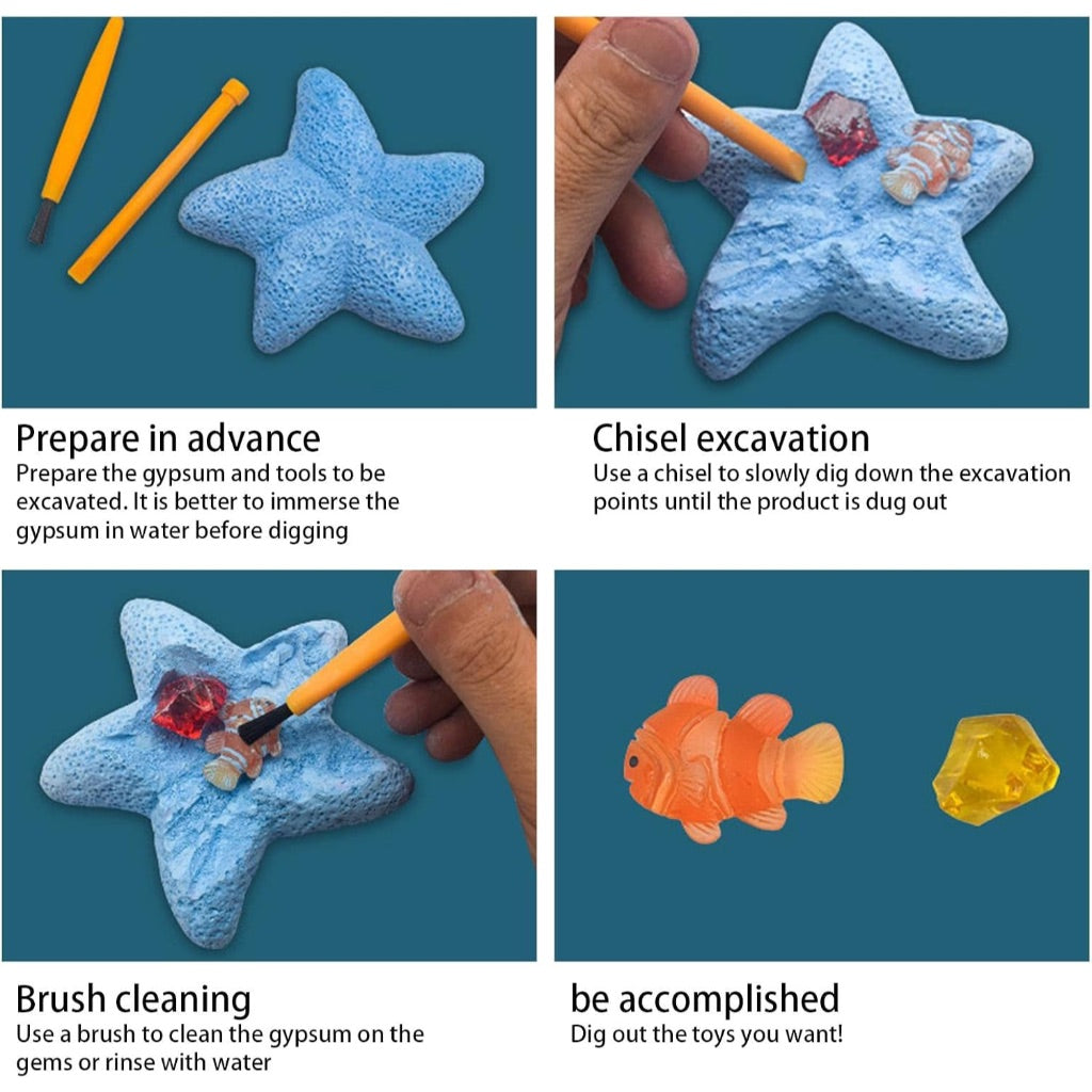 Dig & Find Surprise Starfish