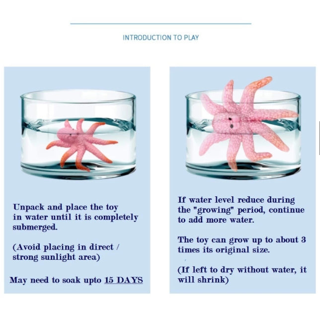 Grow in Water Sea Animals