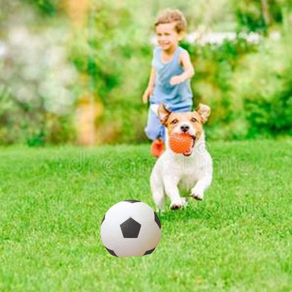 3in1 Sports Ball