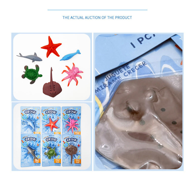 Grow in Water Sea Animals
