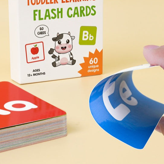 60pc Toddler Learning Flashcards