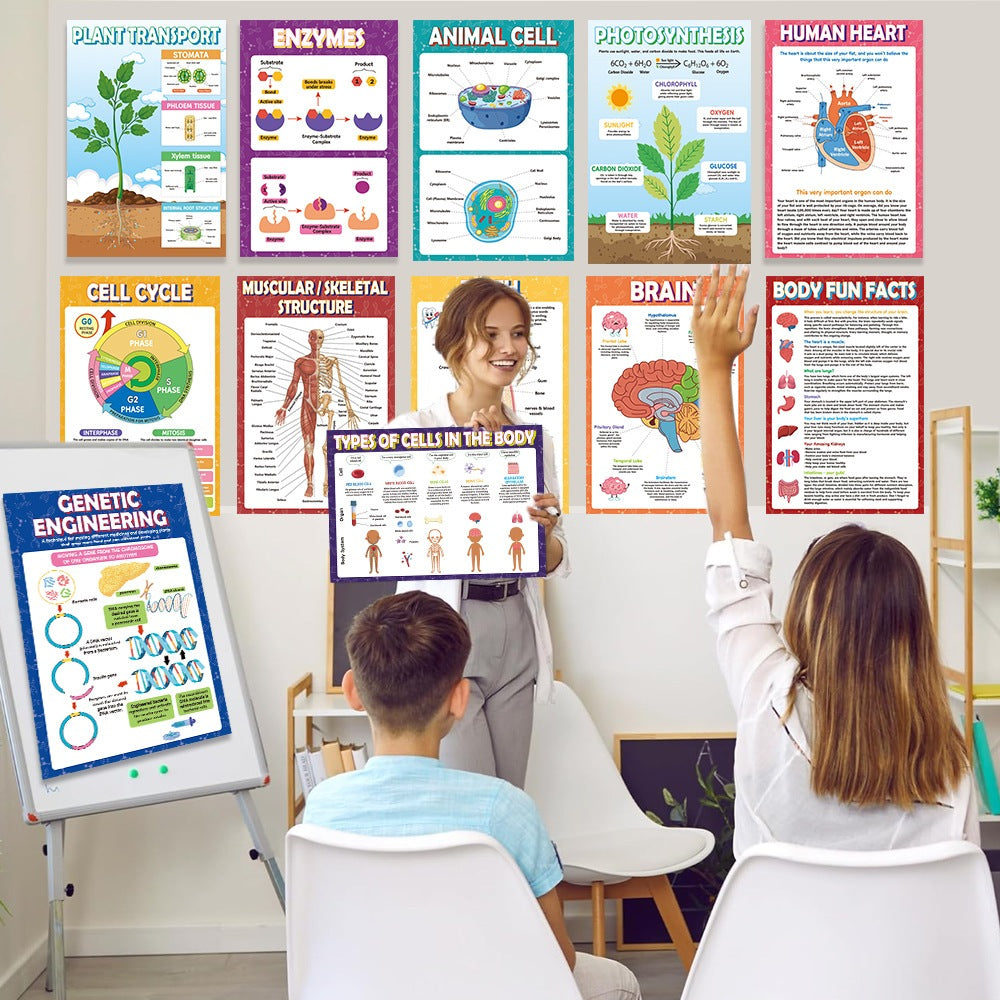 Science Biology A3 Children Educational Learning Posters