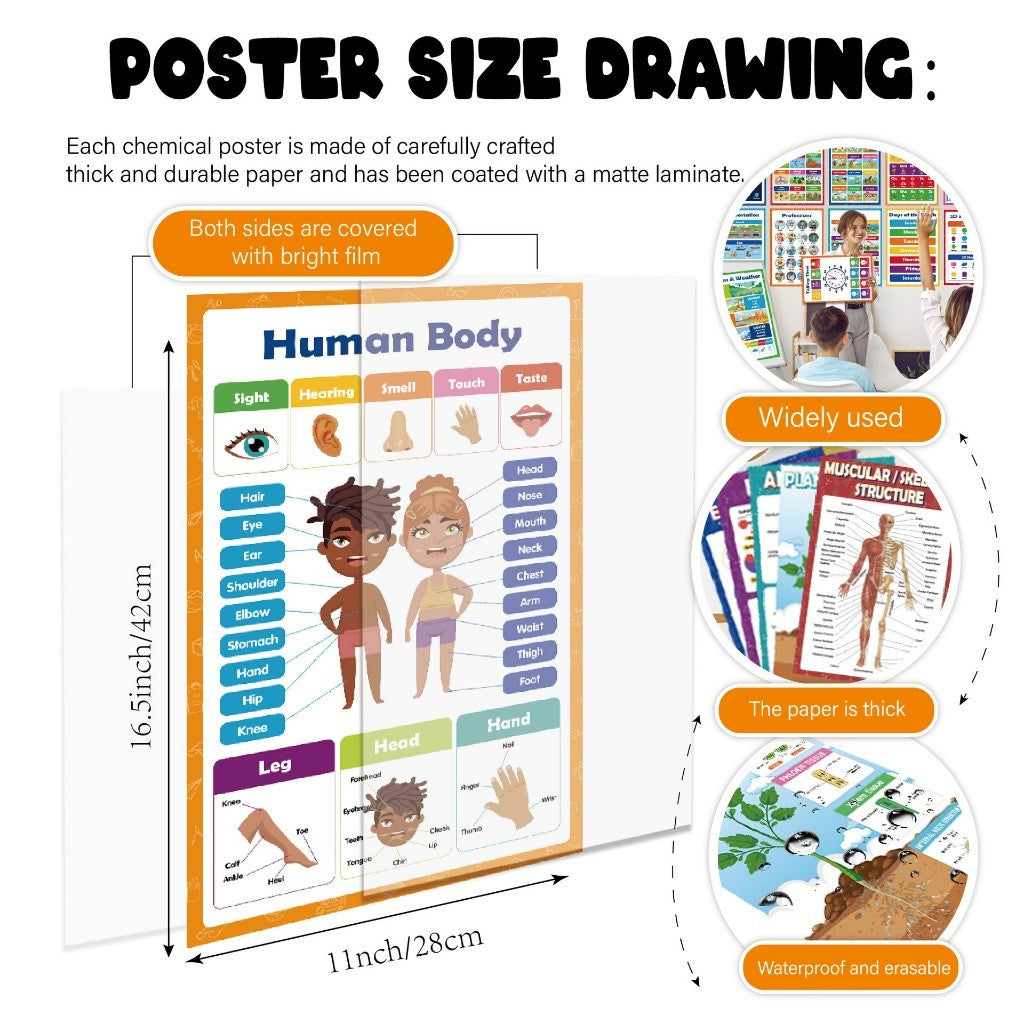 Educational Learning Posters Preschool Children Poster