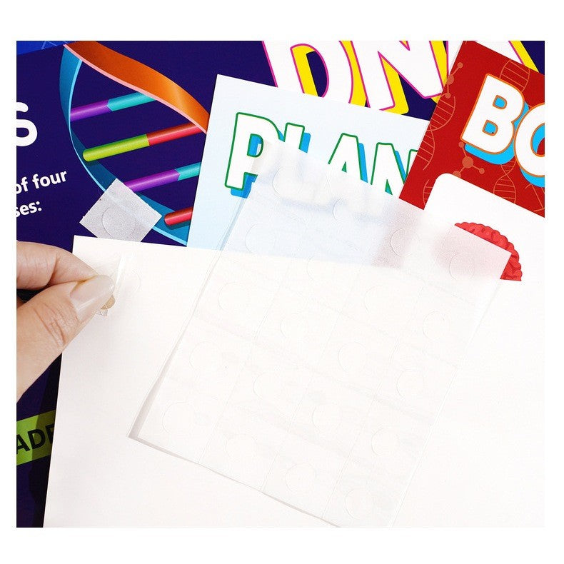 Educational Learning Posters Preschool Children Poster