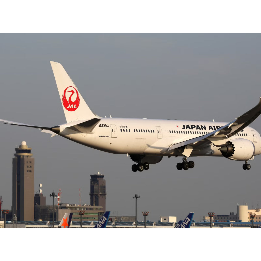 B787 Japan Airlines Dreamliner Diecast Aircraft Model